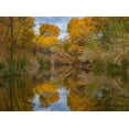 thumbnail image 2 of Fitzharris, Tim 18x14 Gold Ornate Wood Framed with Double Matting Museum Art Print Titled - Lagoon Reflection-Dead Horse Ranch State Park-Arizona-USA, 2 of 4