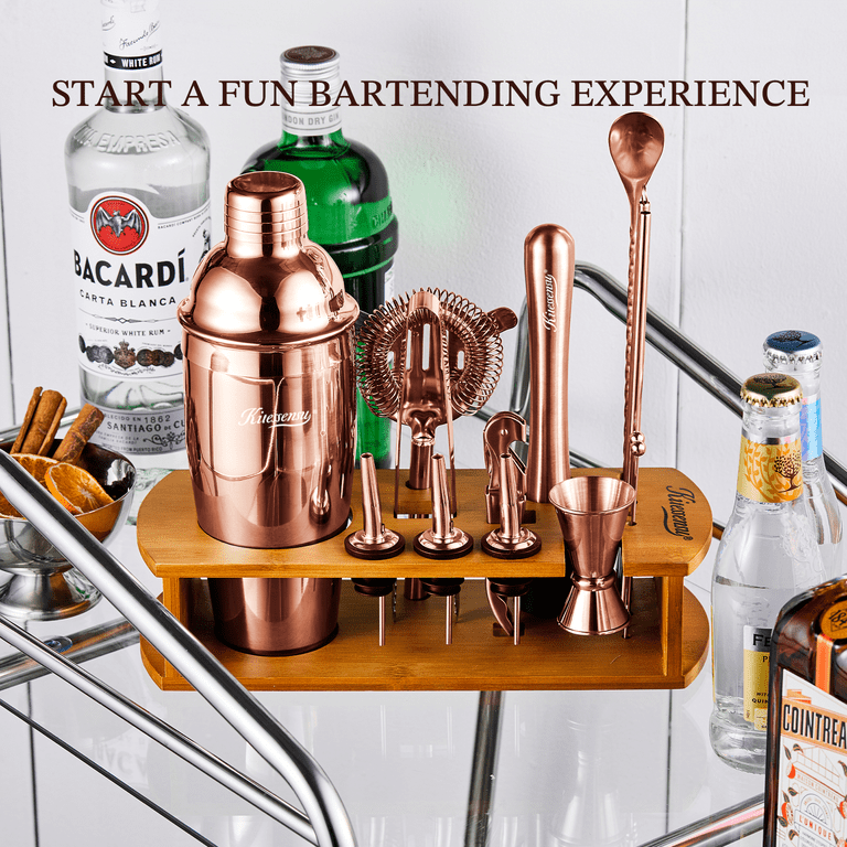 Cocktail Shaker Set 18 Piece, Mixology Equipment, All-in-One Cocktail Set,  Drink Shaker, Strainers and Essential Bar Tools, Bar Set for Beginner 