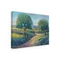 thumbnail image 2 of Trademark Fine Art 'Country Sentrees I' Canvas Art by Tim OToole, 2 of 4