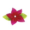 thumbnail image 4 of Disfraz Fantasy Ruz Disney Princesas Moana Talla 6 años FW26, 4 of 4