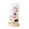 thumbnail image 1 of AMLESO Creative Flower Arrangement Crafts with Light Flowers Glass Cover Decoration for Pink, 1 of 8