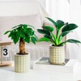 thumbnail image 3 of Self-Absorbing Flowerpot with Transparent Water Level Indicator Self Watering Planter with Bubble Texture Double-Layer Design for Indoor Plants Succulents Herb Garden, 3 of 8