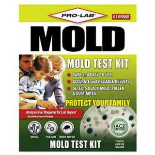 Mold Inspection Test