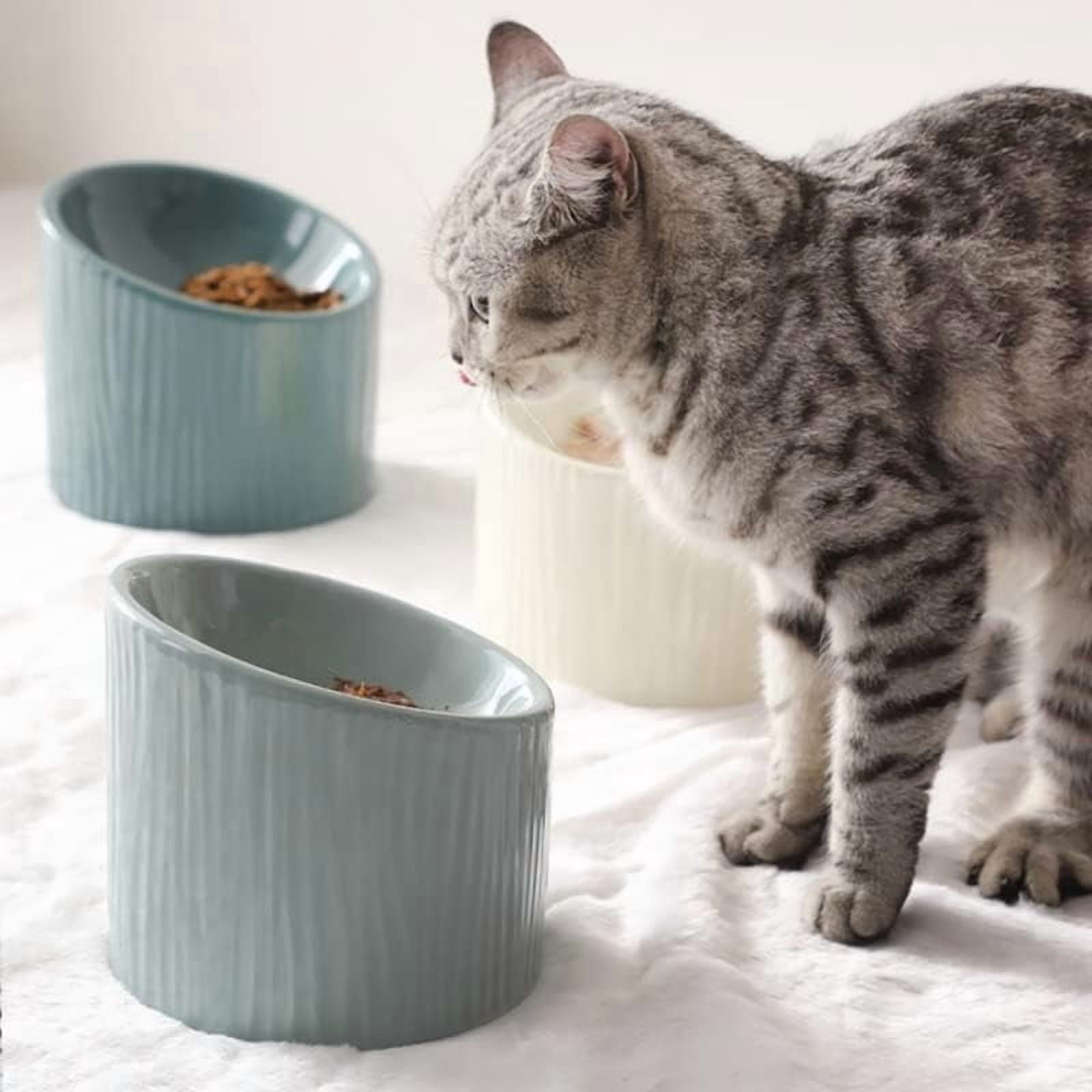 Pet Food Dispenser Pet Ceramic Bowl with Inclined Mouth Elevated Cat Bowl for Dog Cat Indoor Pet Products (Color : 3)