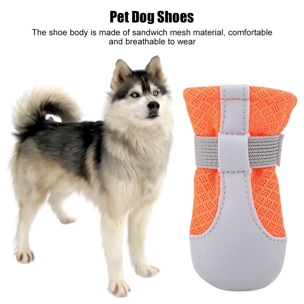 dog shoes for summer