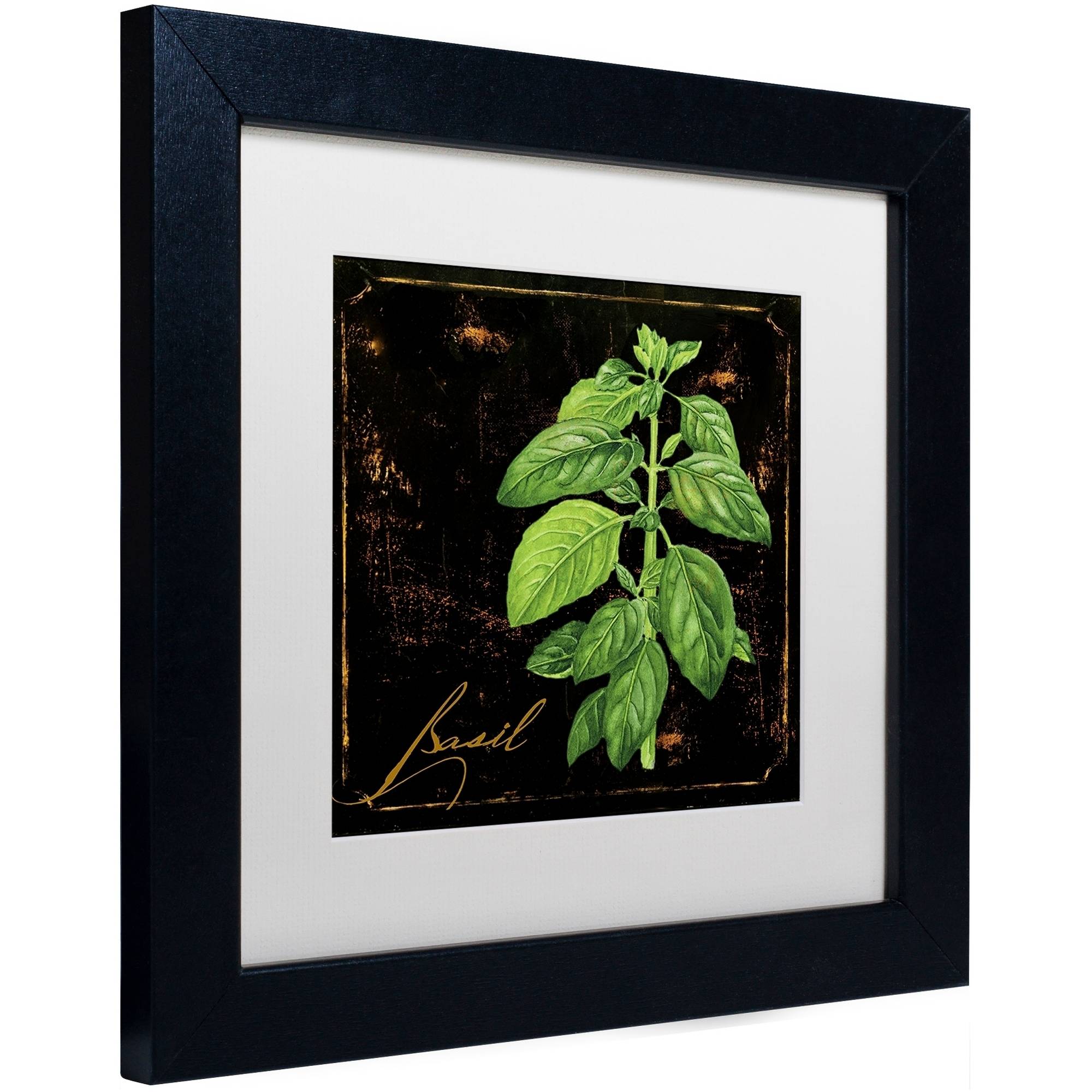Trademark Fine Art "Black Gold Herbs IV" Canvas Art by Color Bakery White Matte, Black Frame