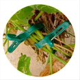 thumbnail image 5 of Secured Plastic Plant Clips, Plant Support Clips Plant Clips, B, 5 of 5