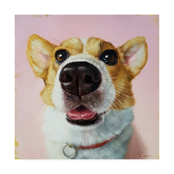 Trademark Fine Art 'Follow Your Nose 3' Canvas Art by Lucia Hefferna