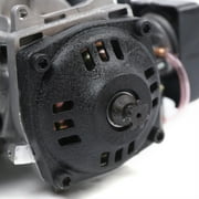 Miumaeov 2 Stroke 49CC Racing Engine Motor For Mini Pocket Bike Quad Dirt Bike ATV Scooter