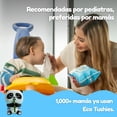 thumbnail image 2 of ECO TUSHIES Toallitas Humedas para Beb&eacute; Hipoalerg&eacute;nicas, Sin Qu&iacute;micos, para pieles sensibles | Aprobadas por el Colegio Mexicano de Dermatolog&iacute;a Pedi&aa, 2 of 9