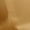 Beige, variant on Women’s Short Sleeve Round Neck Dupion Crop Saree Blouse with Deep V Back & Bow Tie-Up Closure Non Padded