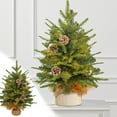 thumbnail image 1 of Fiudx Mini Árbol de Navidad, 30 Luces Led Blanco Cálido, Abeto Artificial con Piñas, Diseño Compacto, Acogedor Ambiente Navideño, Decoración para Interiores, Oficinas y Tiendas, 60 Cm, Funciona con P, 1 of 6
