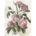 thumbnail image 2 of Wang, Melissa 19x24 White Modern Wood Framed Museum Art Print Titled - A Soft Breath I, 2 of 4