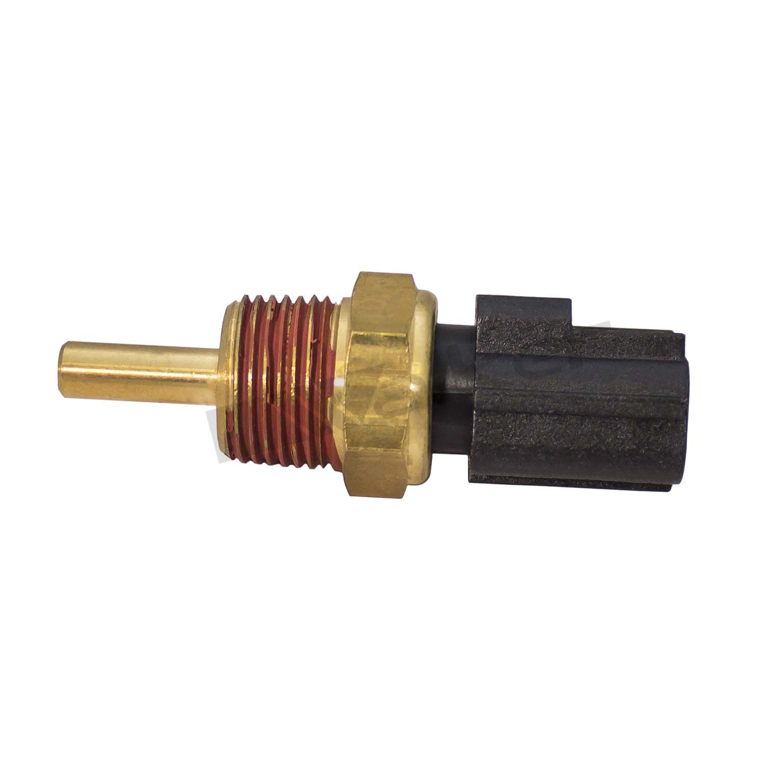 Coolant sensor