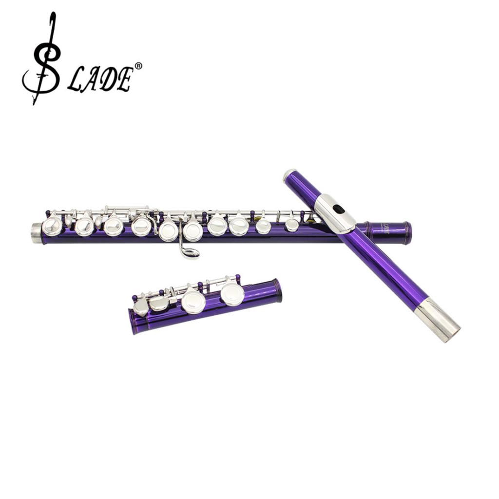 LeeQinersw 16 Hole Cupronickel Tube C Key Flute With 20 Pieces Key Plugs Purple