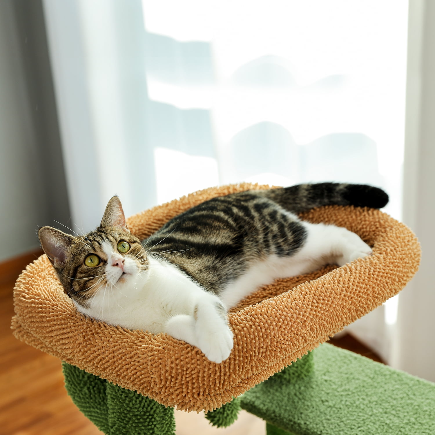 Pefilos Cat Tree 35 Inches Cactus Cat Tower with Sisal Covered Scratching Post, Cozy Condo, Cat Condo for Multiple Cats Plush Perches and Climbing Ladder for Indoor Cats, Green Pefilos Cat Tree 35 Inches Cactus Cat Tower with Sisal Covered Scratching Post, Cozy Condo, Cat Condo for Multiple Cats Plush Perches and Climbing Ladder for Indoor Cats, Green
