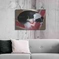 thumbnail image 6 of Luxe Metal Art 'Dog on a Rug' by Durwood Coffey, Metal Wall Art, 36"x24", 6 of 9