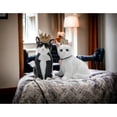 thumbnail image 2 of Ceramic King and Queen of Cats Salt and Pepper Shakers Gift for Cat, 2 of 5