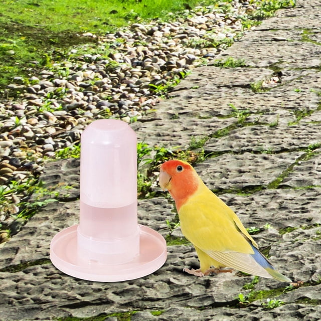 Accesorios para jaulas para cacatúas, dispensador de agua para loros, alimentación automática para pinzones, comederos para forrajeo, periquitos, Fernando Comedero para pájaros