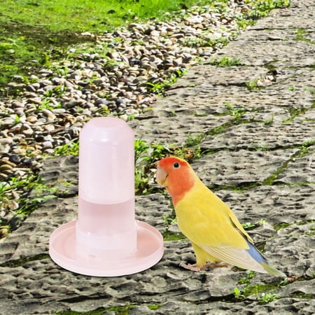 balikha Bird Feeder Parrot Feeder Budgie Water Dispenser Cage Accessories Food Station Easy to Clean Transparent Suitable for Finch Canary Cockatiel Home Use Waterer