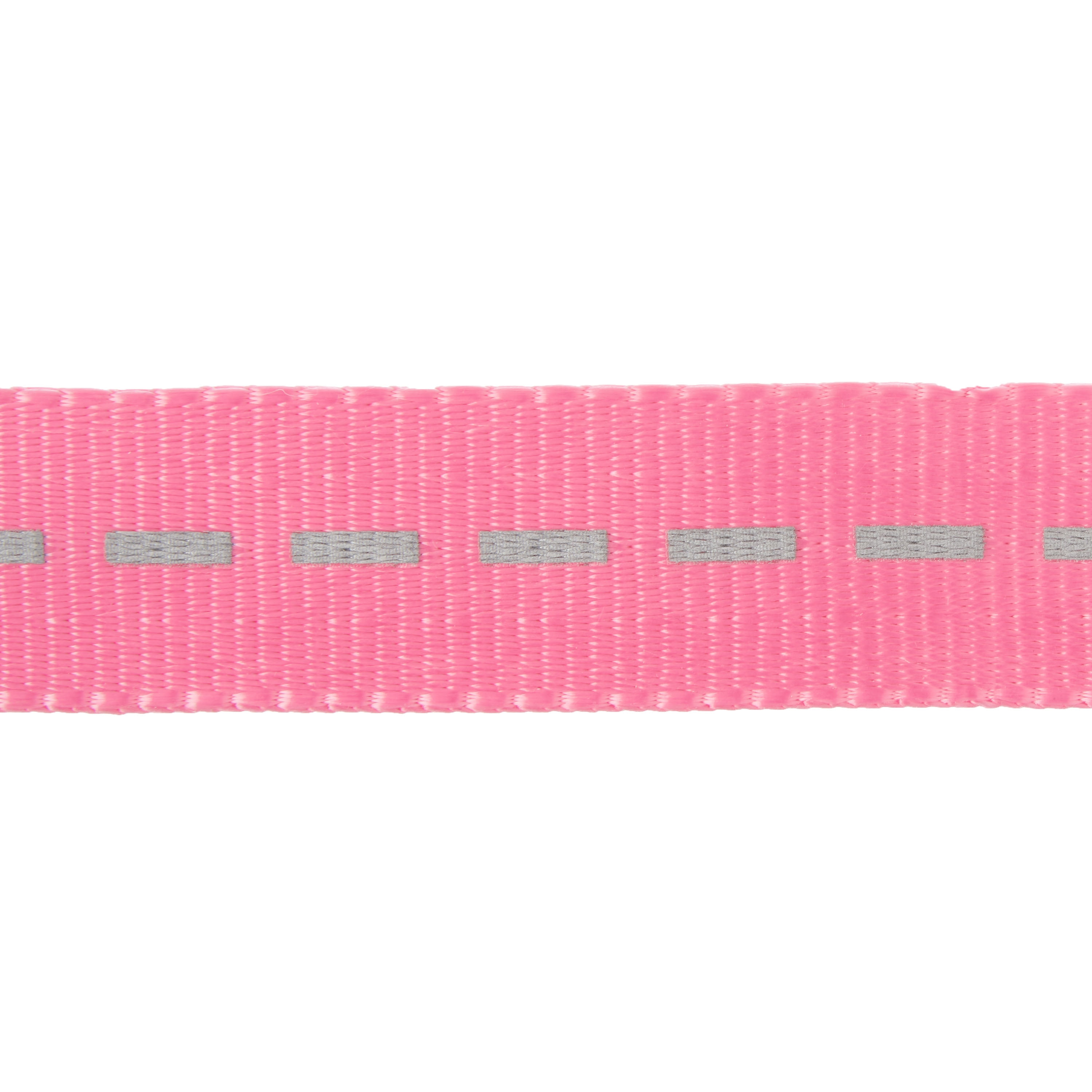 Vibrant Life Reflective Polyester Dog Leash, Pink, Large, 6 feet
