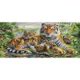 thumbnail image 2 of Kits de pintura al óleo de la familia del tigre por números, cuadro de lienzo, arte de pared, Color artesanal DIY Likrtyny decoración de arte, 2 of 9