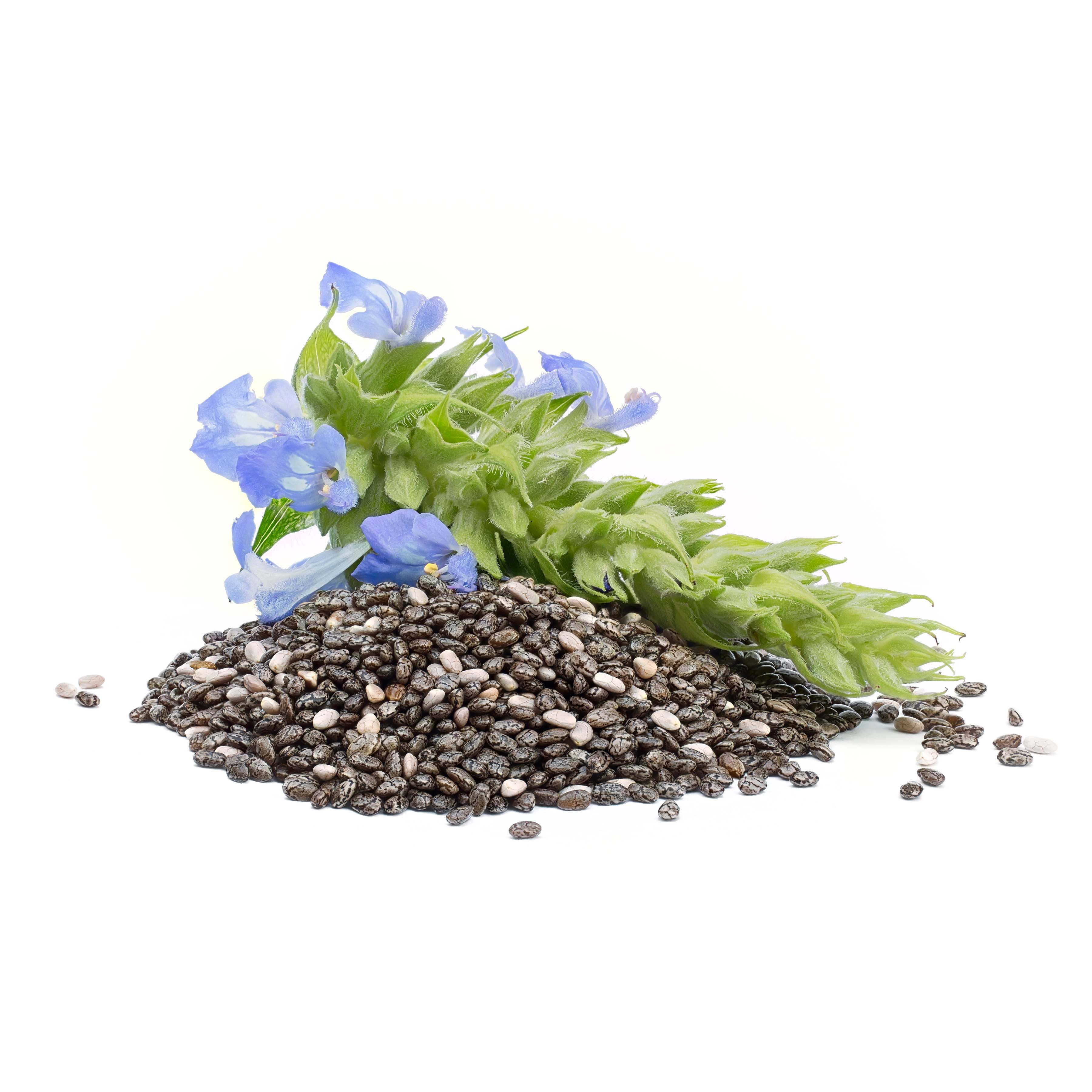 MOCU NON-GMO Black Chia Seeds 4LB