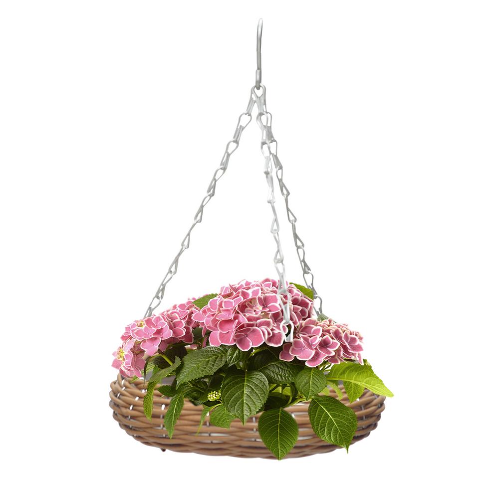 Famure Rattan Round Hangings Baskets Woven Wicker Style Flower Baskets