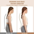thumbnail image 2 of Corrector de postura Fit Geno para espalda, para hombres y mujeres: enderezador de hombros, soporte lumbar ajustable y completo, alivia el dolor - Corrector de columna jorobada y escoliosis (grande), 2 of 5