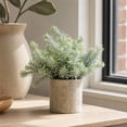 thumbnail image 3 of Plant Decor, Small Fake Plant, Artificial Plant, Faux Greenery, 10X9 Inch Potted Rosemary Style Faux Greenery in Textured Cylindrical Small Pot for Tabletop Shelf and Countertop, 3 of 7