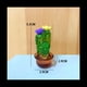 thumbnail image 3 of 4 Piezas de Adornos Interiores para AutomóViles, Figuras ArtíSticas de Cactus, DecoracióN del Hogar, Adornos de Cactus de Plantas en Miniatura para Manualidades de Escritorio B, 3 of 6