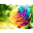 thumbnail image 1 of Taladro diamante pintura (DB2518) 5D DIY completo colorido rosa punto de cruz bordado 40x50cm Hugtrwg Para estrenar, 1 of 1