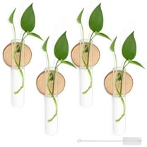 Yiomxhi 4Pcs Wall Planters Without Drilling, Propagation Station Hanging Glass Plant Vase, Test Tube Vase with Cleaning Brush, Perfect for Hydroponic Plants Home Office Garden Decor