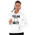 thumbnail image 3 of Feeling Salty Utah Beehive State Unisex Plus Fleece Graphic Hoodie Brisco Brands 5X, 3 of 5