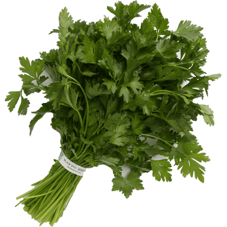 Italian Parsley