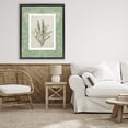 thumbnail image 3 of Stupell Industries Traditional Antique Foliage in Green Black Floating Frame Canvas Art, 25 x 31, by Carol Robinson, 3 of 8