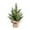 E, variant on BNNG Tabletop Mini Christmas Tree, 15" Artificial Miniature Pine Christmas Tree with Linen Base Perfect for Christmas Decorations, Home, Kitchen, Dining Table
