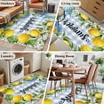 thumbnail image 6 of Summer Lemon Washable Area Rugs 4'x6', Oceans Blue Shells Starfish Flower Blue Plaid Low Pile Throw Living Room Rug Non-Slip Sturdy Edge Binding Carpet for Indoor Entryway Bedside Kitchen, 6 of 9