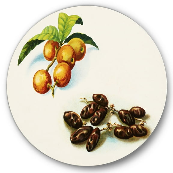 Designart 'Ancient Fruits IV' Farmhouse Circle Metal Wall Art 36x36 - Disc of 36