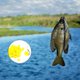 thumbnail image 5 of Señuelo de Pesca Wosthever Cebo Artificial Rojo, 5 of 6