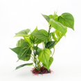 thumbnail image 1 of Planta decorativa de hoja de loto Artificial Brillar Acuario de plástico verde 31cm, 1 of 5
