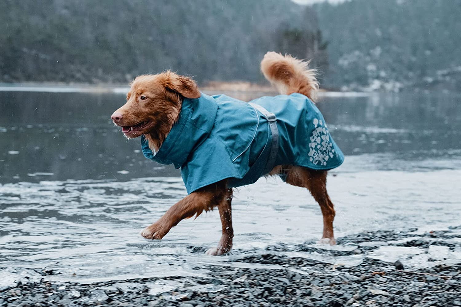 Hurtta raincoat clearance