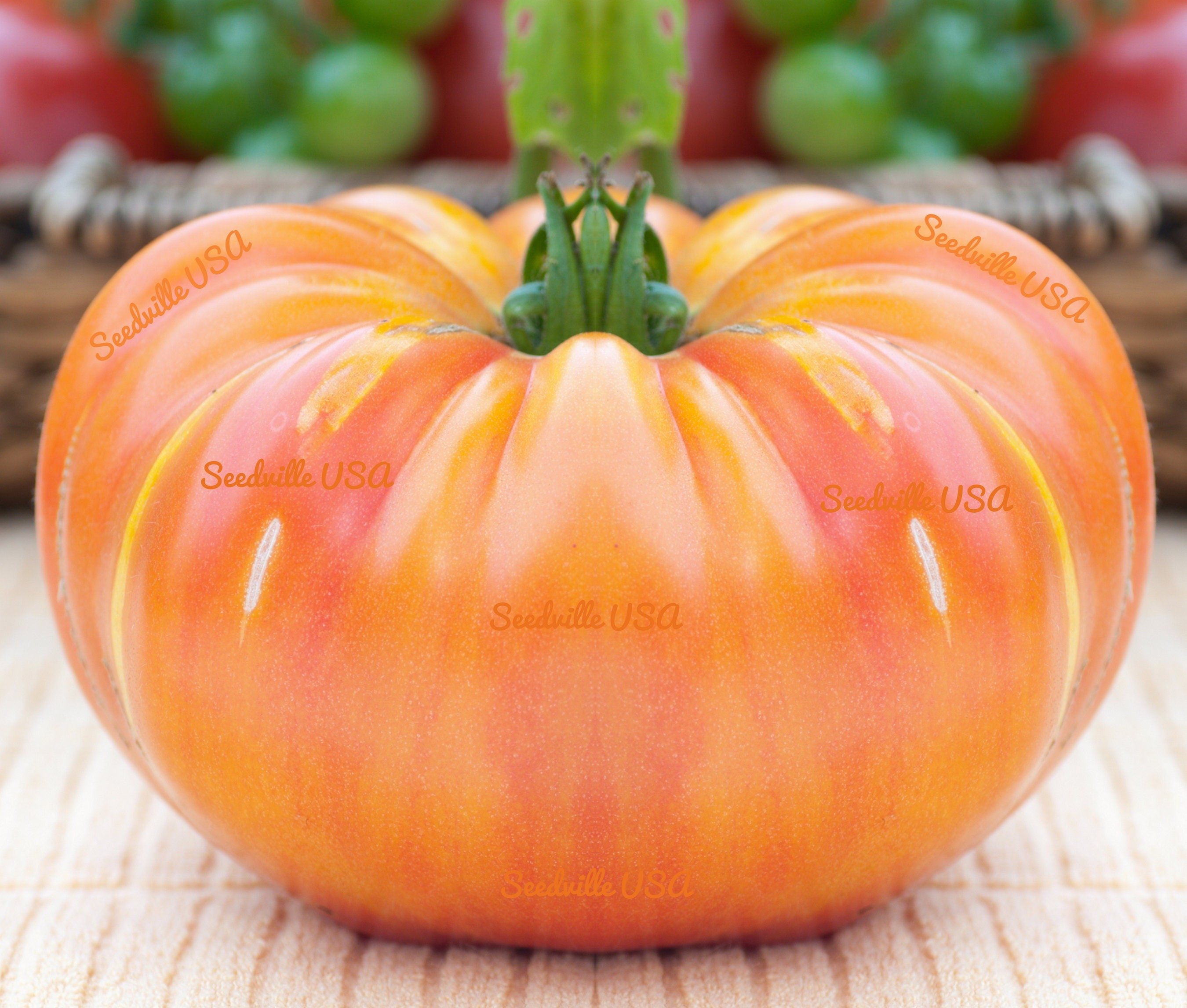 50 OAXACAN JEWEL TOMATO Bicolor Golden Yellow Striped Red Mexican