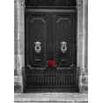 thumbnail image 2 of Frank, Assaf 18x24 White Modern Wood Framed Museum Art Print Titled - Bunch of roses on door of a house in Mdina, Malta, 2 of 4