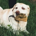 thumbnail image 2 of Juguete masticable para perros Wildfang Briar Wood Raíz para masticar de 25 a 45 kg, 2 of 9
