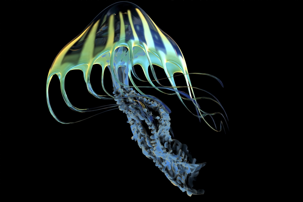 A bioluminescent Jellyfish is a predator catching small fish and