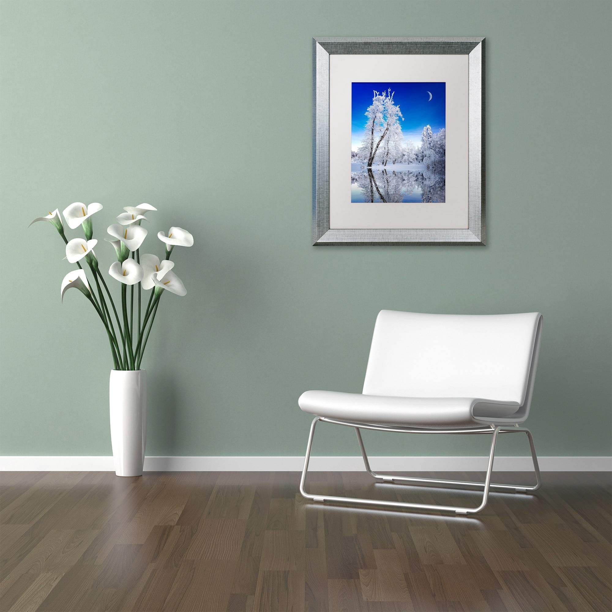 Trademark Fine Art "Emotive Ballad Canvas Art" Canvas Art by Philippe Sainte-Laudy, White Matte, Silver Frame