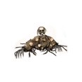 thumbnail image 1 of Briseur de Squelettes, 1 of 3