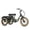 Olive green, variant on ADDMOTOR Electric Trike for Adults, 750W Electric Tricycle, 85MI 48V 20AH Dual Suspension Etrike, SOLETRI M-366X Banana Seat 3 Wheel Electric Bike