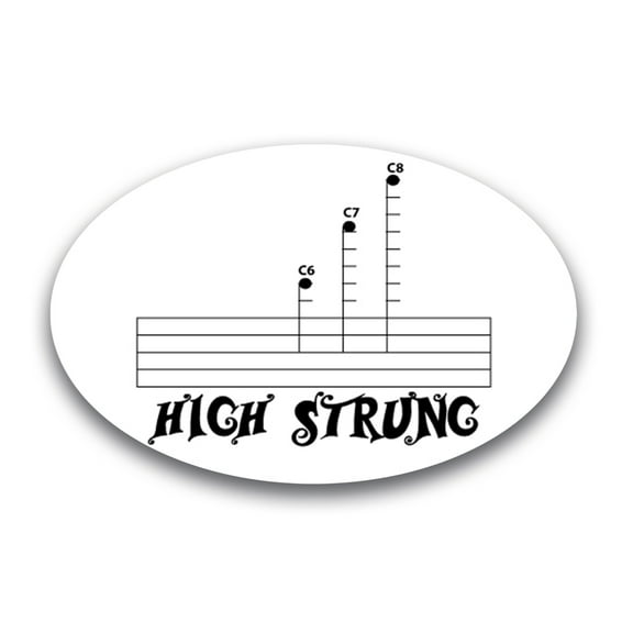 Magnet Me Up High Strung Oval Magnet Decal, 4x6 In, Vinyl Automotive Magnet